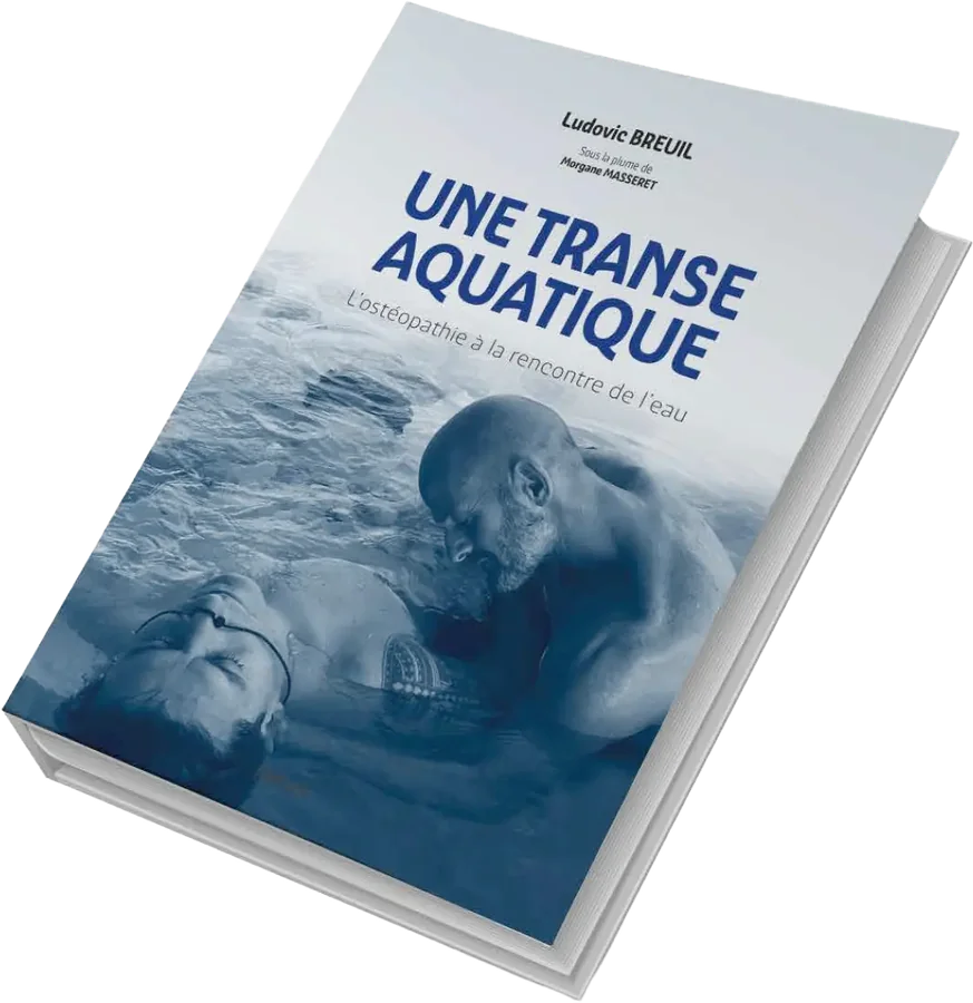 Livre « Une transe aquatique » de Ludovic Breuil — rendu 3D